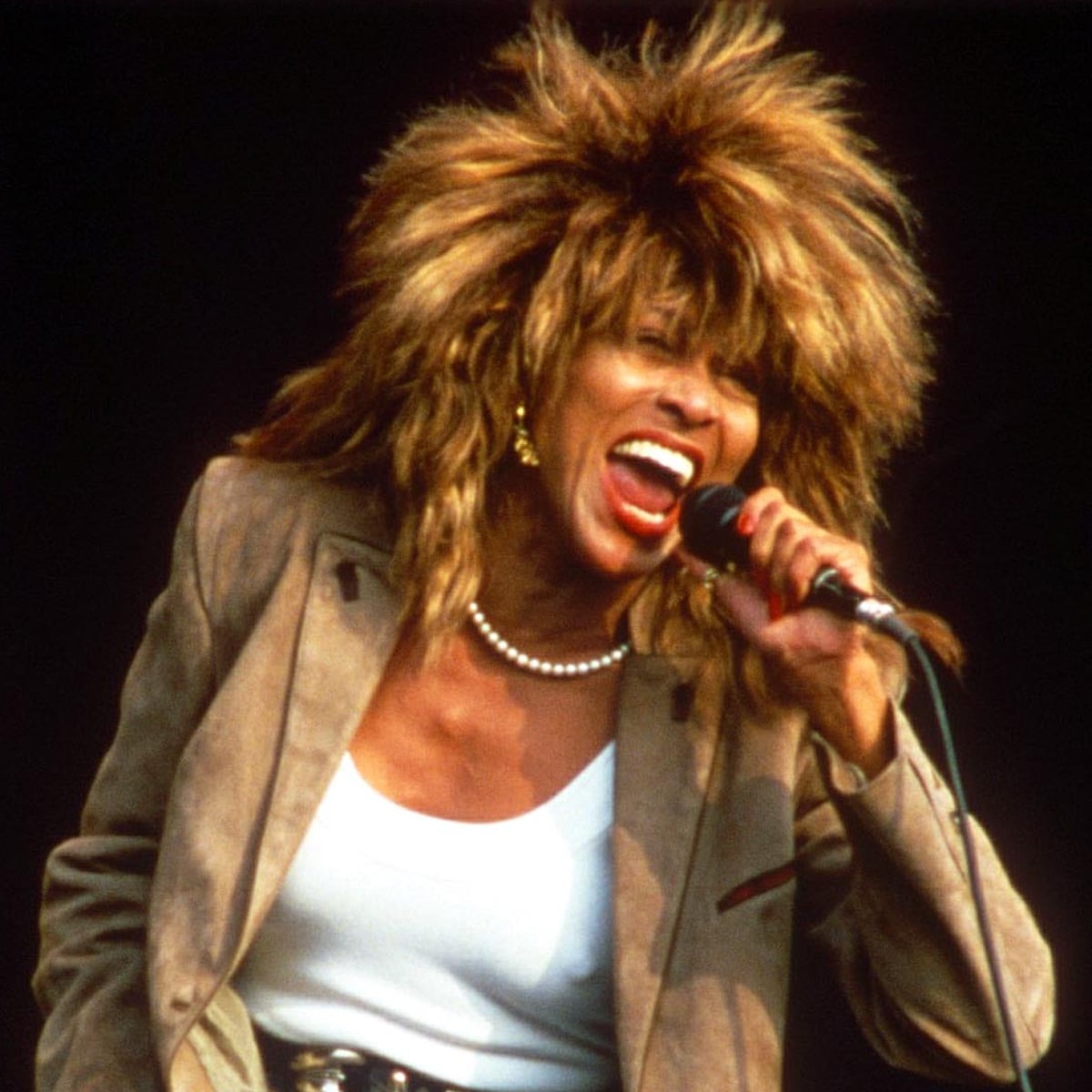 search image 2 Tina Turner 2