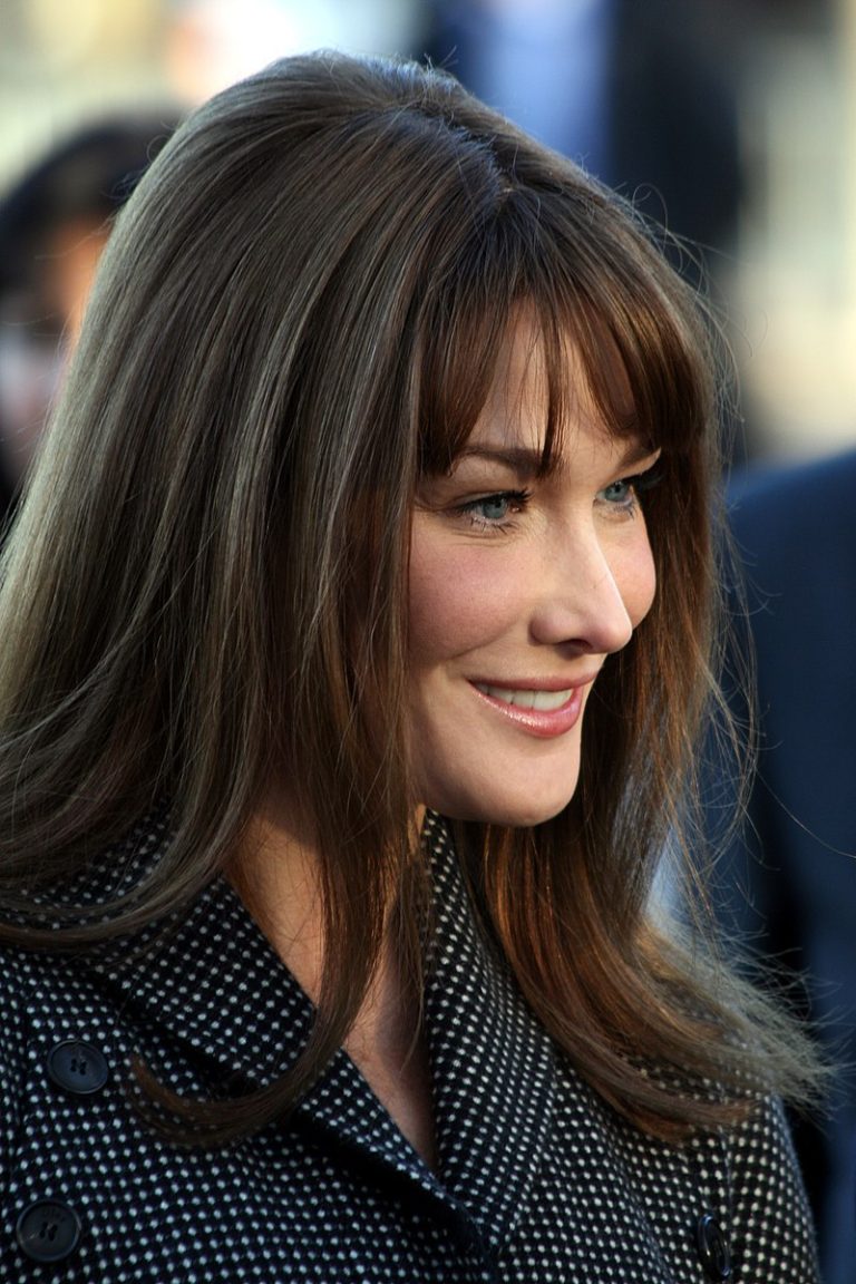 Carla Bruni Biographie, Ville Natale, Valeur Nette, Petit Ami Et Enfants