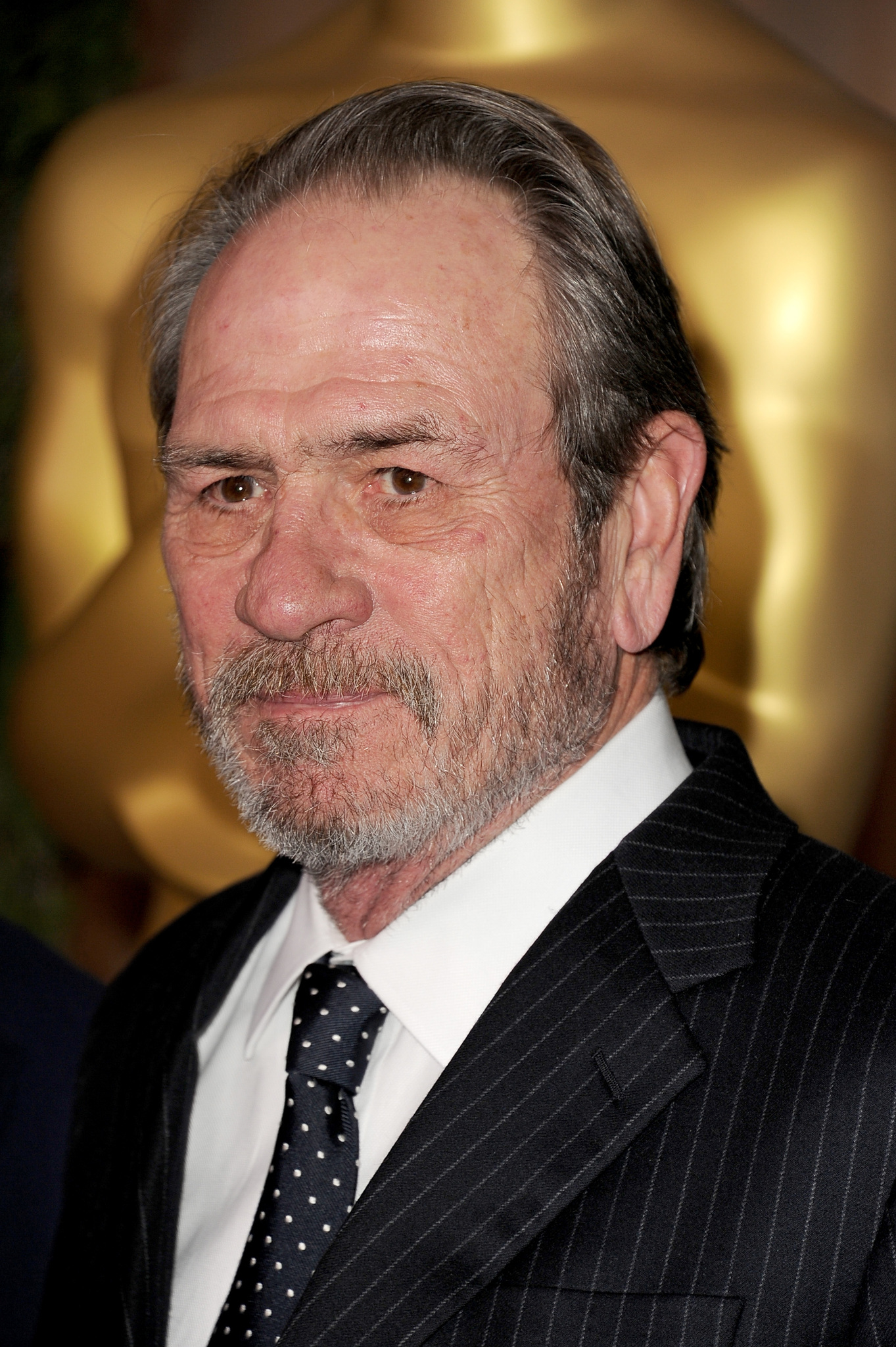 search image 2 Tommy Lee Jones 2